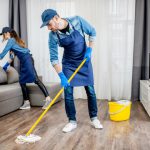 Paragon Career Solution